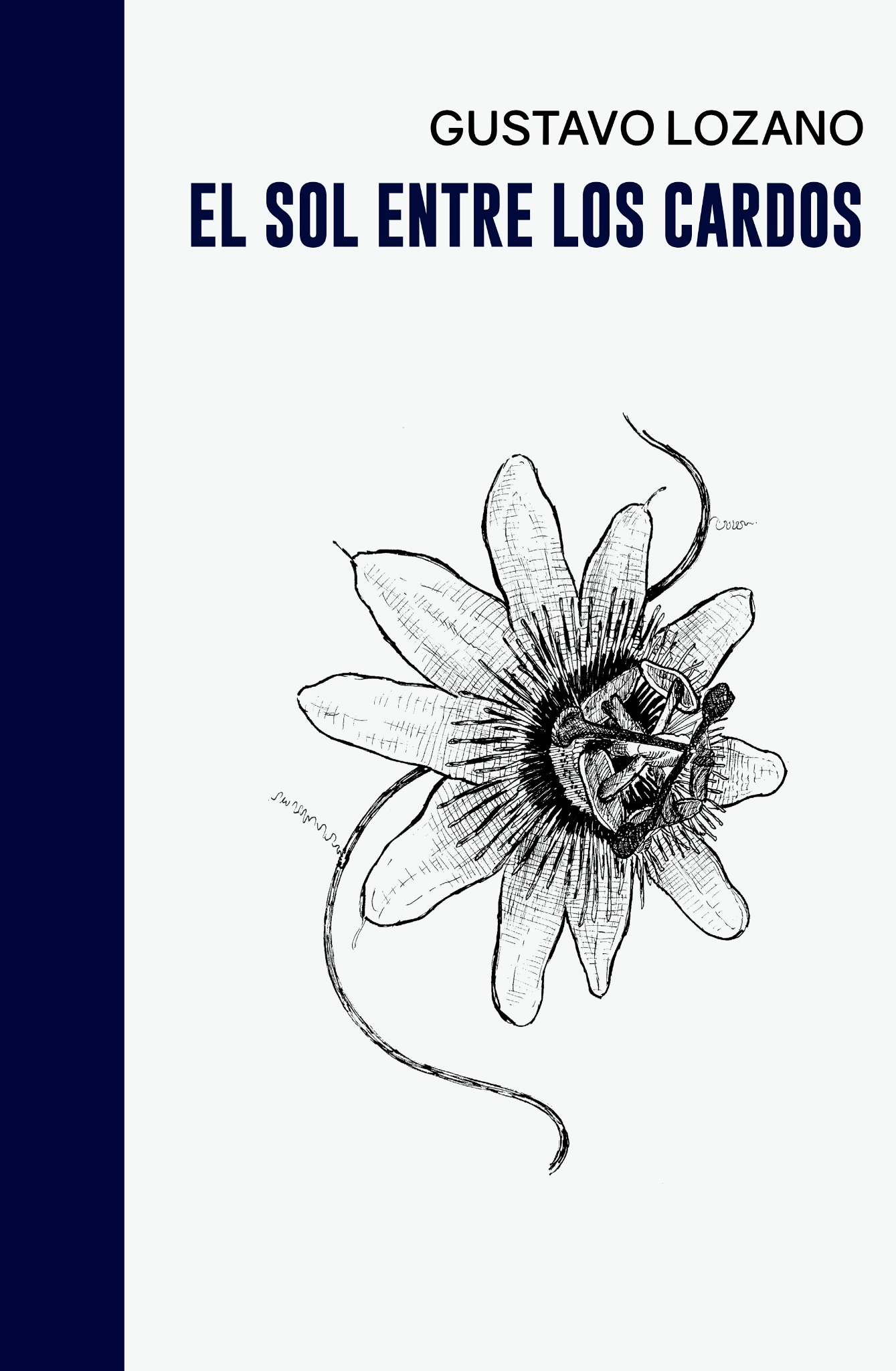 El sol entre los cardos (tapa)