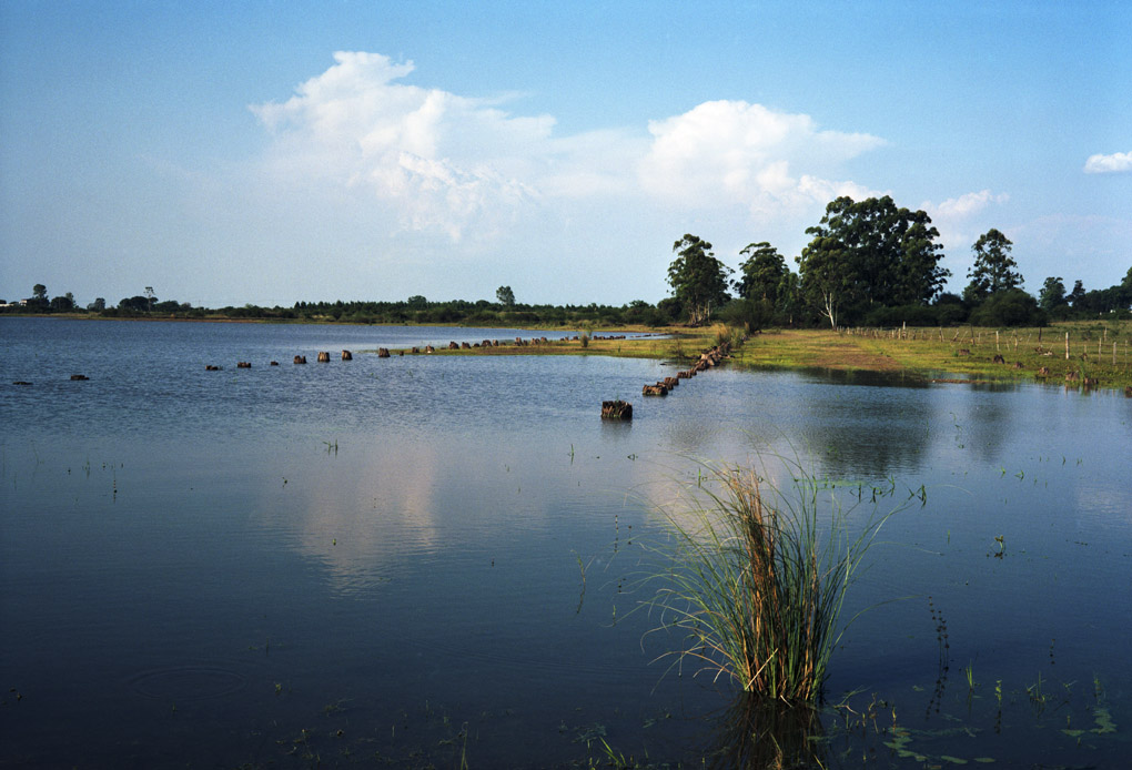 Memorias bajo el lago — 9