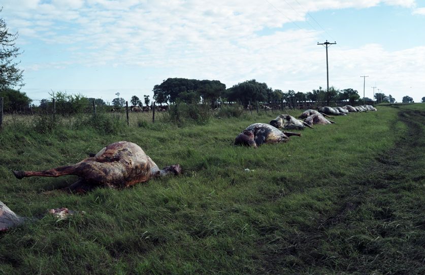 Orillas 3