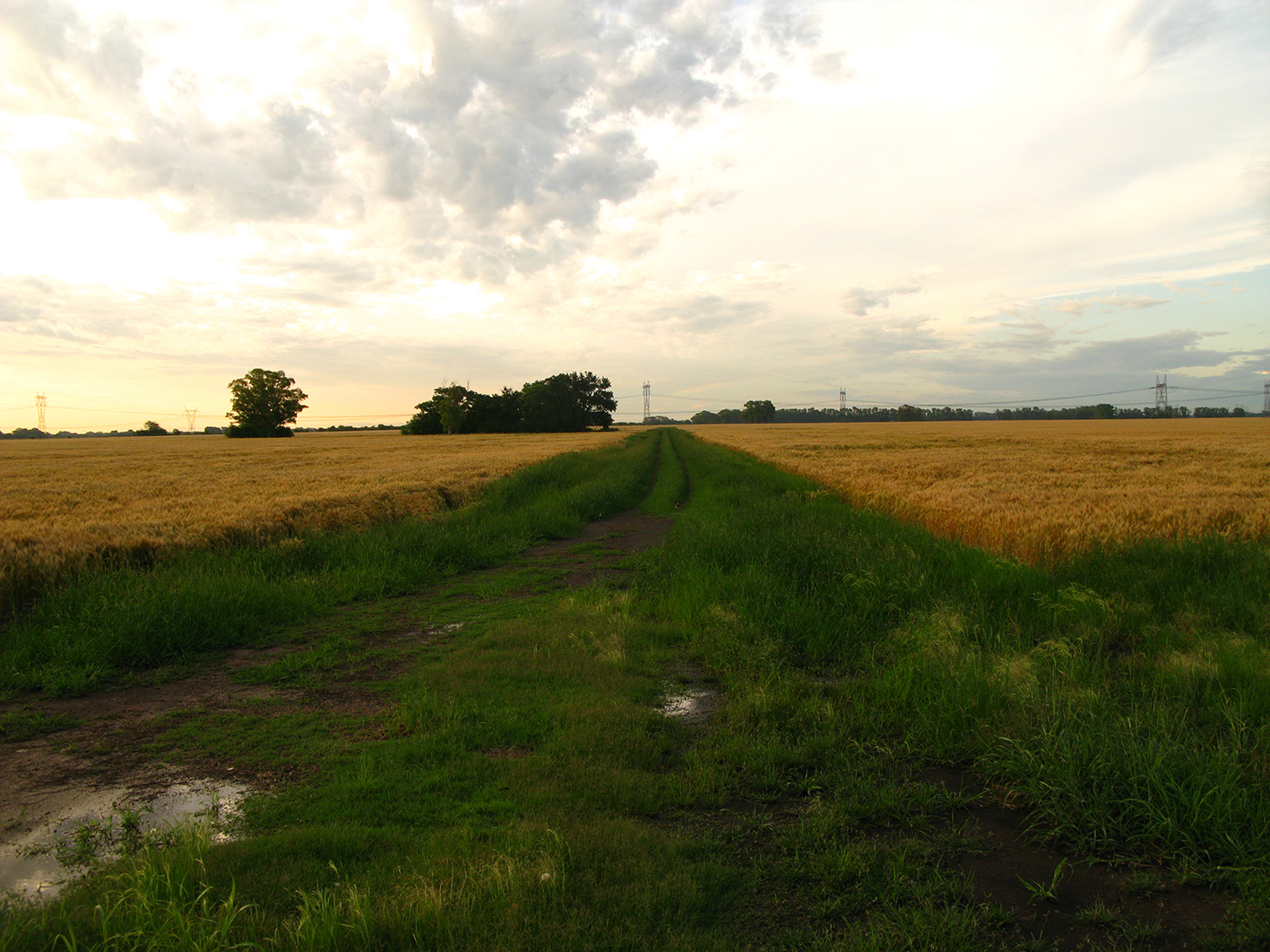 Variaciones desde la tranquera — 1