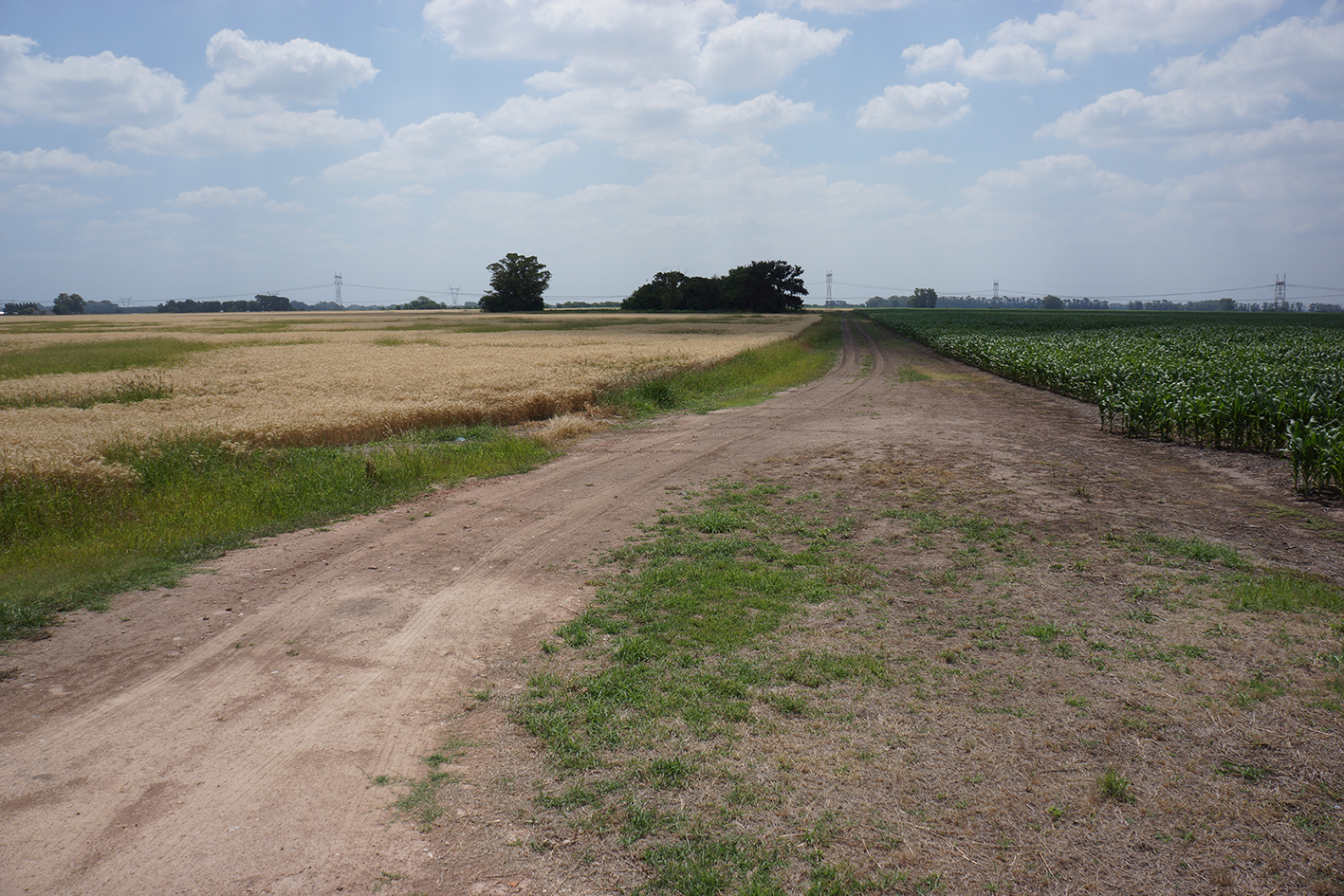 Variaciones desde la tranquera — 2