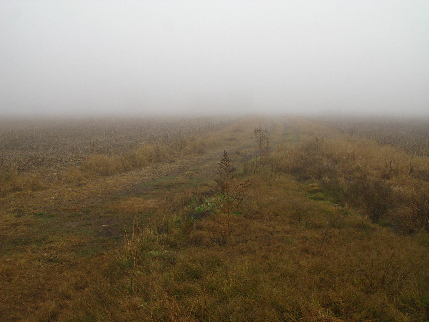 Variaciones desde la tranquera — 3