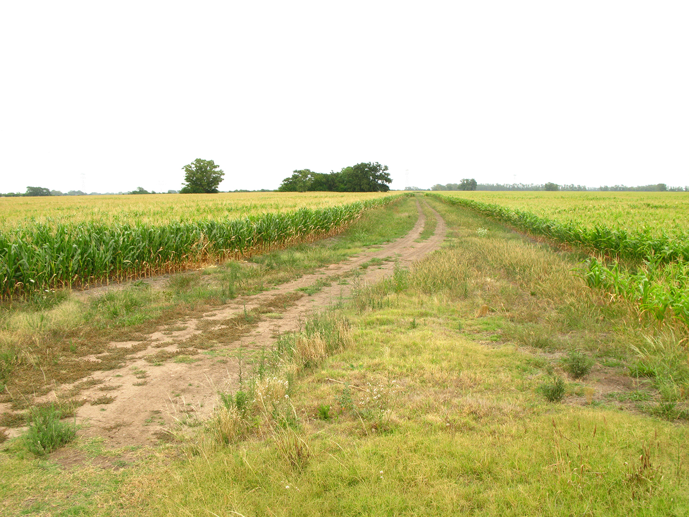 Variaciones desde la tranquera — 4