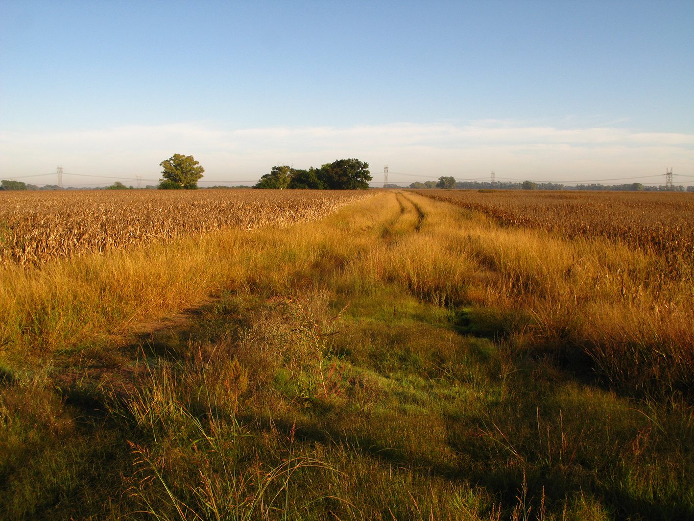 Variaciones desde la tranquera — 5