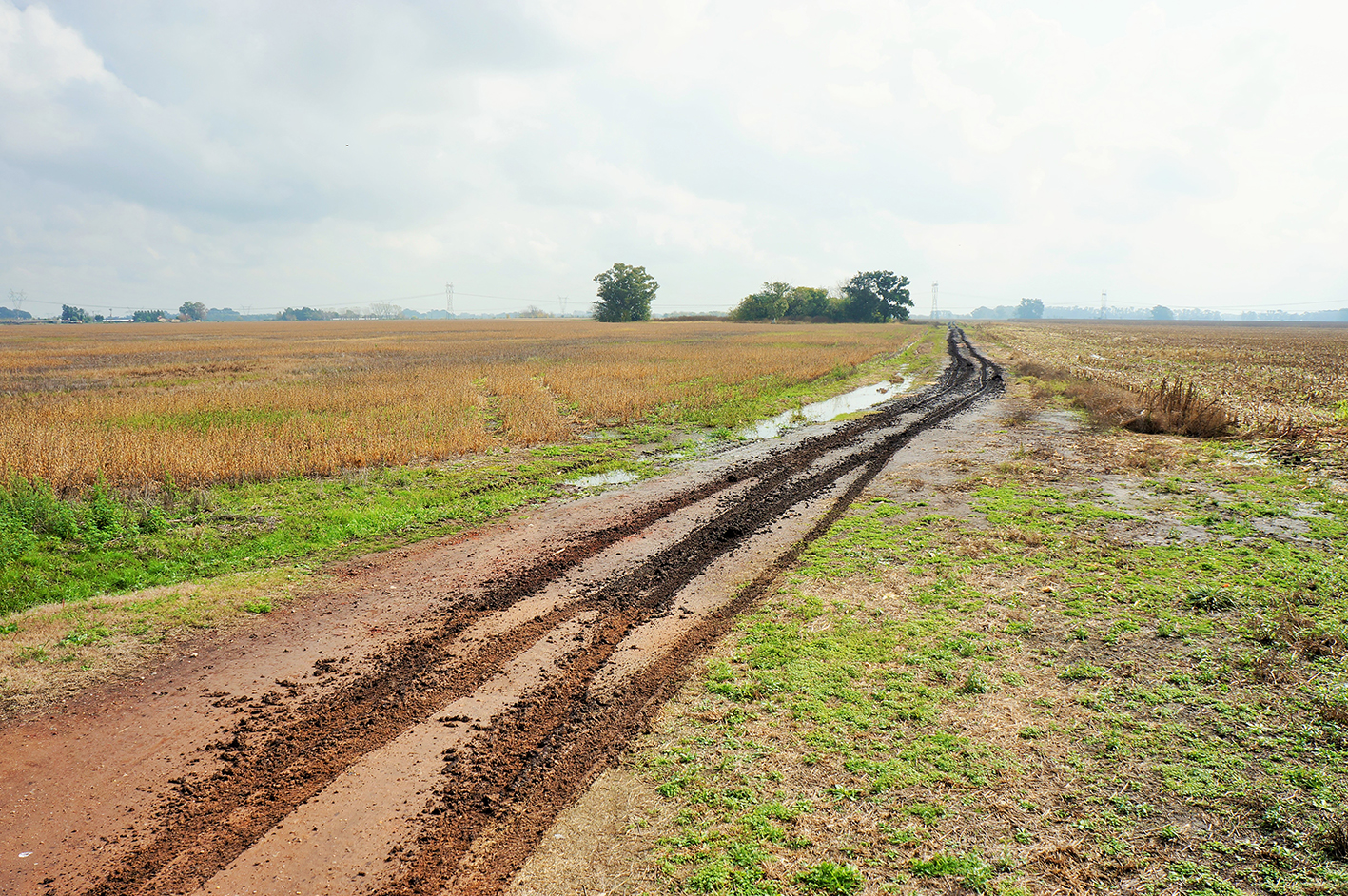 Variaciones desde la tranquera — 6