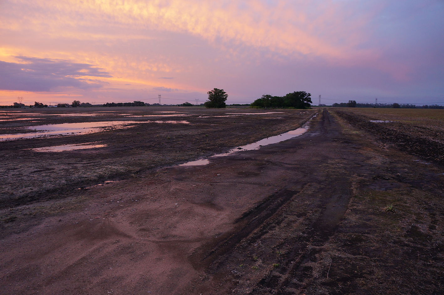 Variaciones desde la tranquera — 7