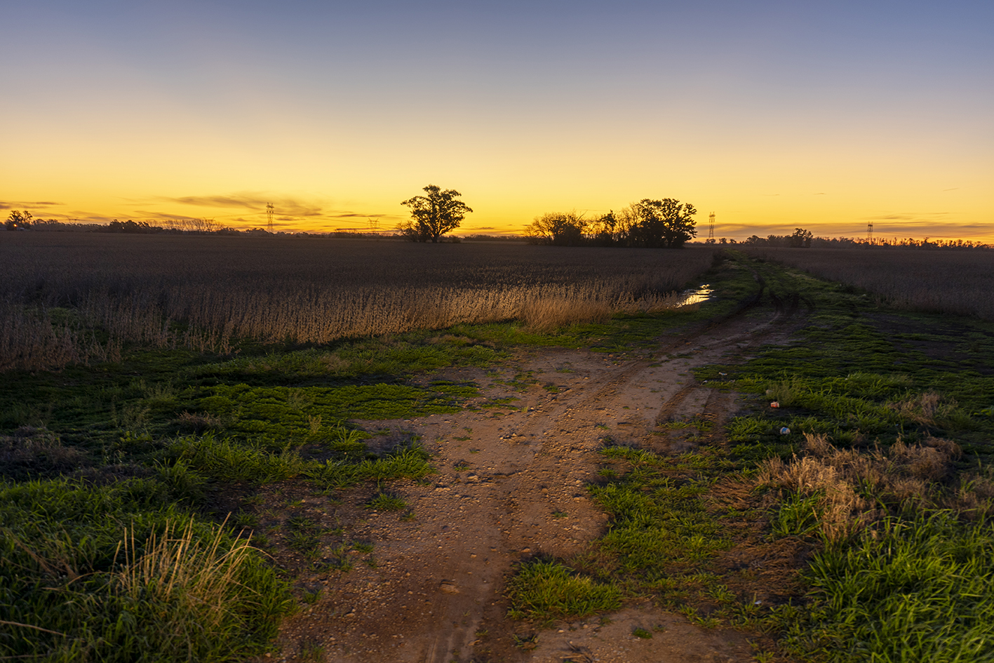 Variaciones desde la tranquera — 8