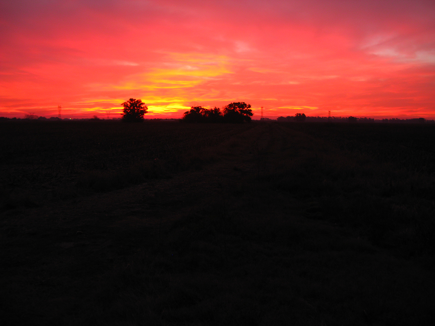 Variaciones desde la tranquera — 9